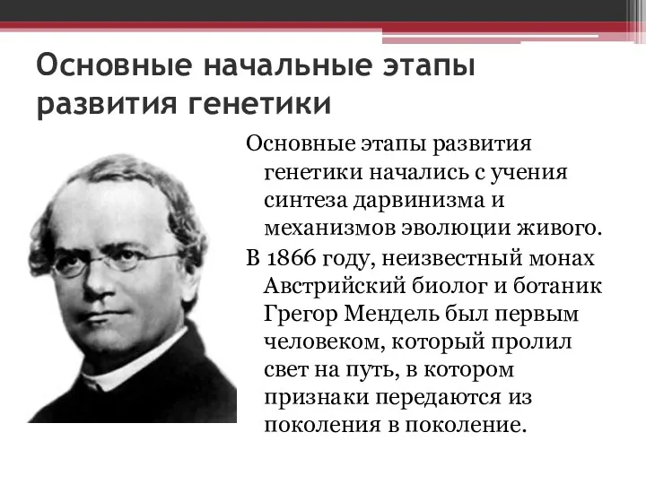 Основные начальные этапы развития генетики Основные этапы развития генетики начались