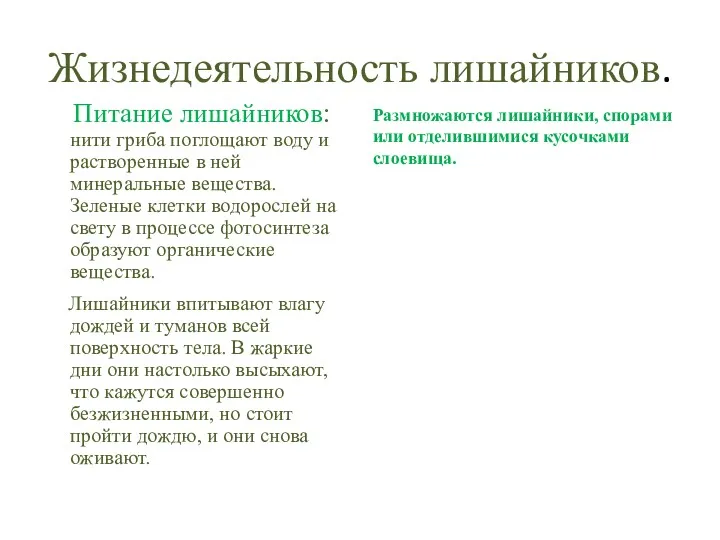 Жизнедеятельность лишайников. Питание лишайников: нити гриба поглощают воду и растворенные