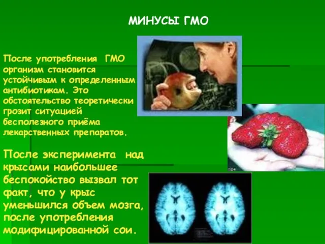 После употребления ГМО организм становится устойчивым к определенным антибиотикам. Это