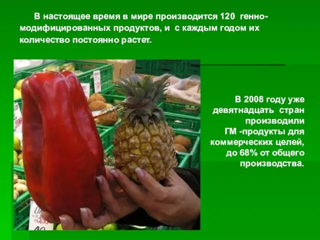 В настоящее время в мире производится 120 генно-модифицированных продуктов, и