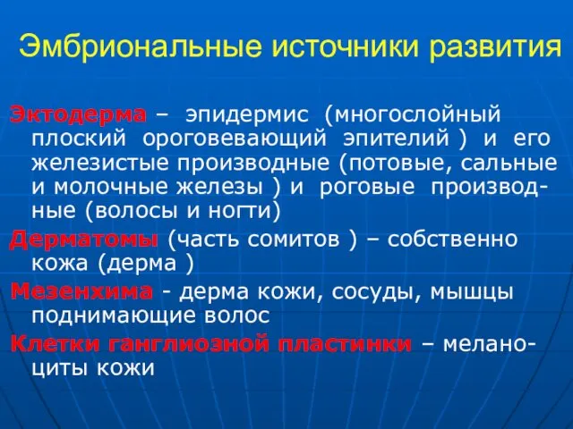 Эмбриональные источники развития Эктодерма – эпидермис (многослойный плоский ороговевающий эпителий