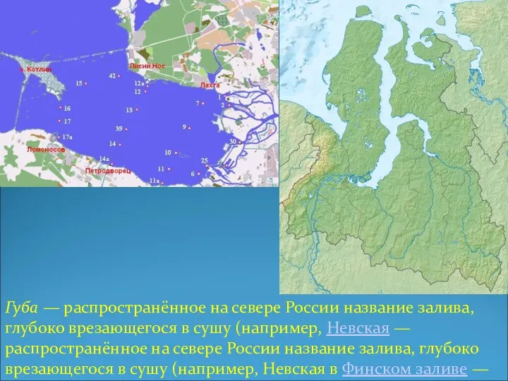 Губа — распространённое на севере России название залива, глубоко врезающегося