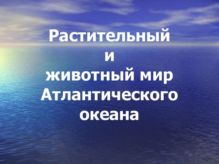 Растительный и животный мир Атлантического океана