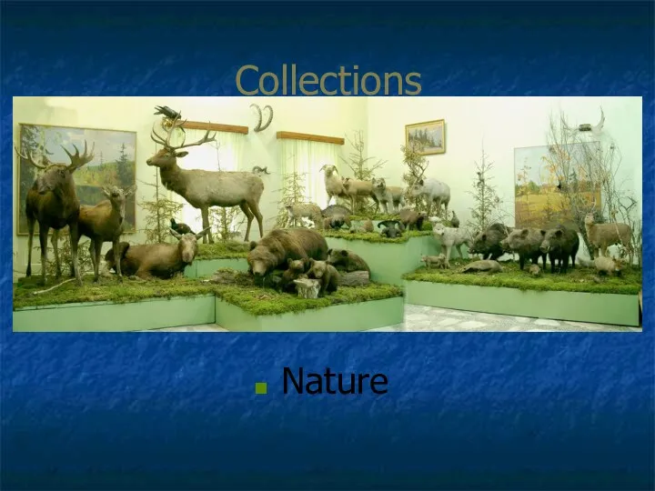 Collections Nature