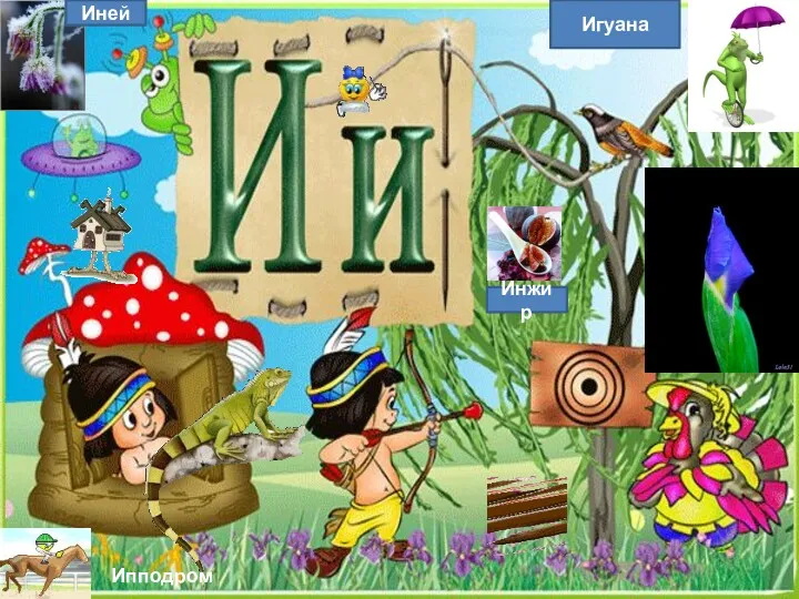 Игуана Иней Инжир Ипподром