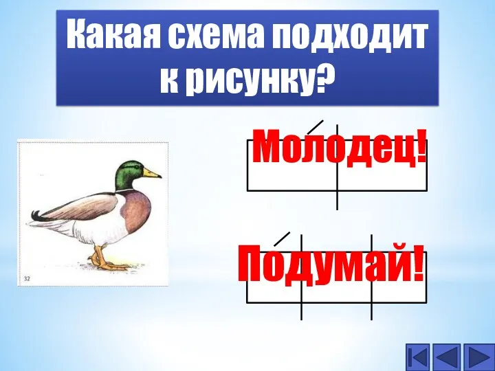 Какая схема подходит к рисунку? Молодец! Подумай!