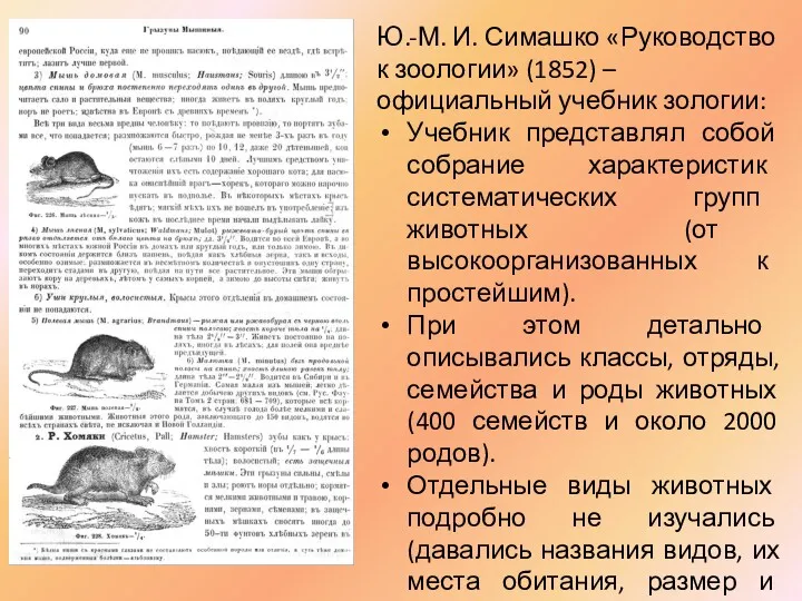 Ю.-М. И. Симашко «Руководство к зоологии» (1852) – официальный учебник зологии: Учебник представлял