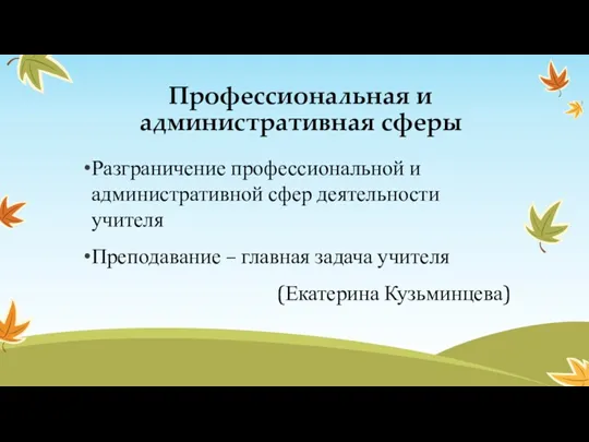 Профессиональная и административная сферы Разграничение профессиональной и административной сфер деятельности