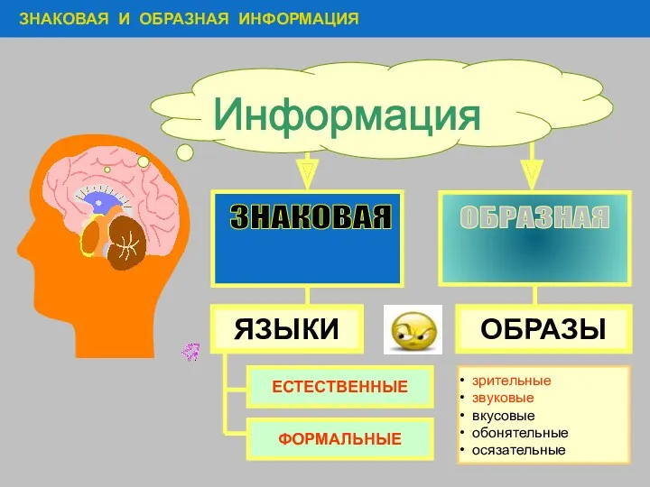 ЗНАКОВАЯ И ОБРАЗНАЯ ИНФОРМАЦИЯ Информация ОБРАЗНАЯ ОБРАЗЫ ЯЗЫКИ зрительные звуковые вкусовые обонятельные осязательные ЕСТЕСТВЕННЫЕ ФОРМАЛЬНЫЕ ЗНАКОВАЯ