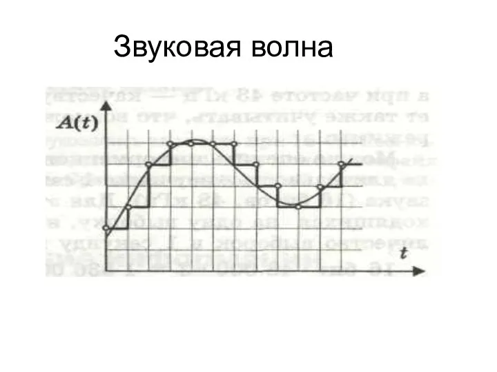 Звуковая волна