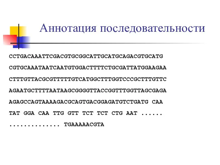 Аннотация последовательности CCTGACAAATTCGACGTGCGGCATTGCATGCAGACGTGCATG CGTGCAAATAATCAATGTGGACTTTTCTGCGATTATGGAAGAA CTTTGTTACGCGTTTTTGTCATGGCTTTGGTCCCGCTTTGTTC AGAATGCTTTTAATAAGCGGGGTTACCGGTTTGGTTAGCGAGA AGAGCCAGTAAAAGACGCAGTGACGGAGATGTCTGATG CAA TAT GGA