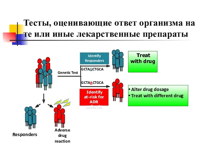 Responders Adverse drug reaction Genetic Test Treat with drug Identify