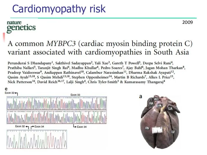 Cardiomyopathy risk 2009