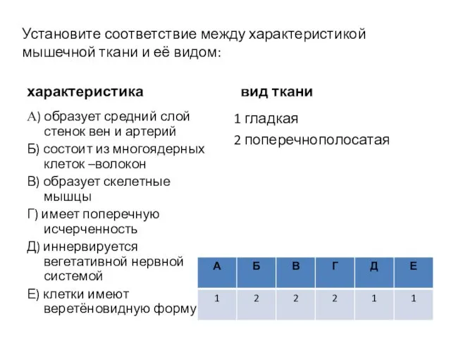 Установите соответствие между характеристикой мышечной ткани и её видом: характеристика