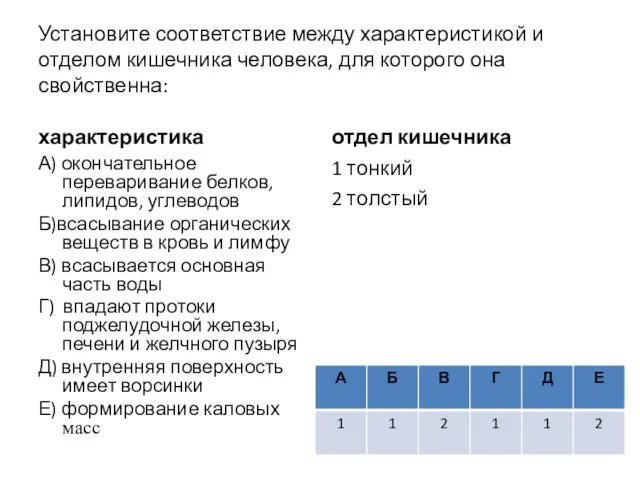 Установите соответствие между характеристикой и отделом кишечника человека, для которого