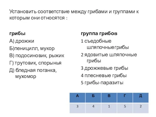 Установить соответствие между грибами и группами к которым они относятся