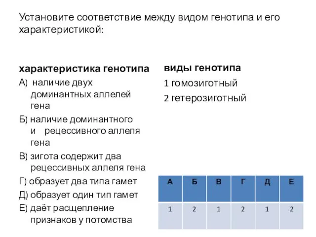 Установите соответствие между видом генотипа и его характеристикой: характеристика генотипа