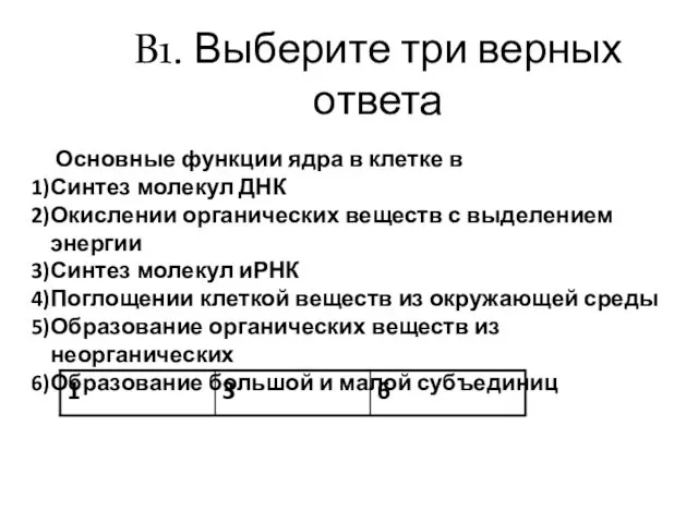 В1. Выберите три верных ответа Основные функции ядра в клетке