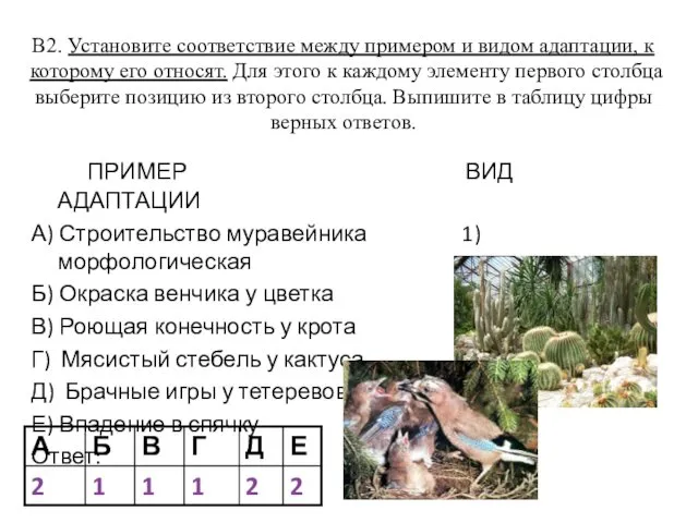 В2. Установите соответствие между примером и видом адаптации, к которому