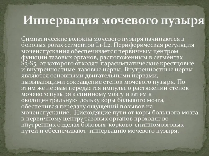 Симпатические волокна мочевого пузыря начинаются в боковых рогах сегментов L1-L2. Периферическая регуляция мочеиспускания