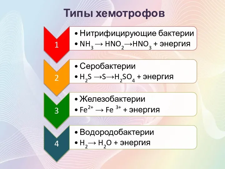 Типы хемотрофов