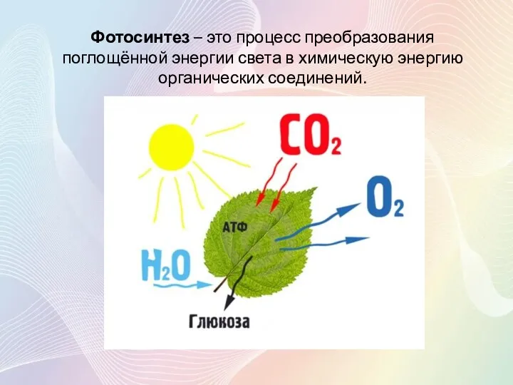 Фотосинтез – это процесс преобразования поглощённой энергии света в химическую энергию органических соединений.