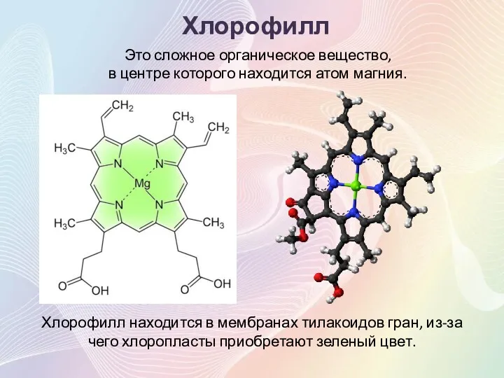 Хлорофилл Это сложное органическое вещество, в центре которого находится атом