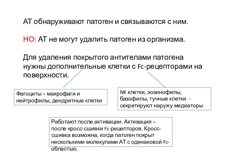 АТ обнаруживают патоген и связываются с ним. НО: АТ не