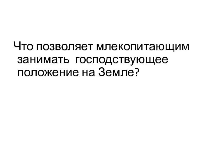 Что позволяет млекопитающим занимать господствующее положение на Земле?