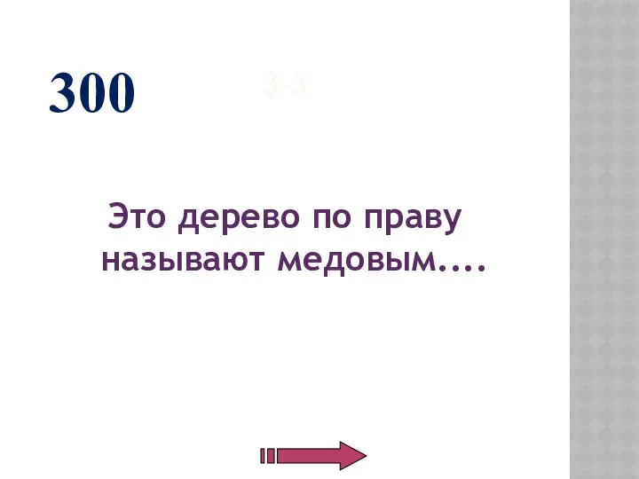 3-3 Это дерево по праву называют медовым.... 300