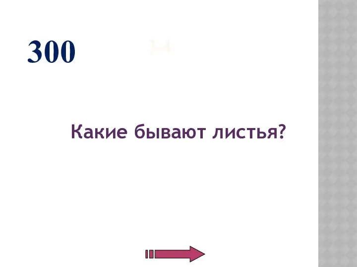 3-4 Какие бывают листья? 300