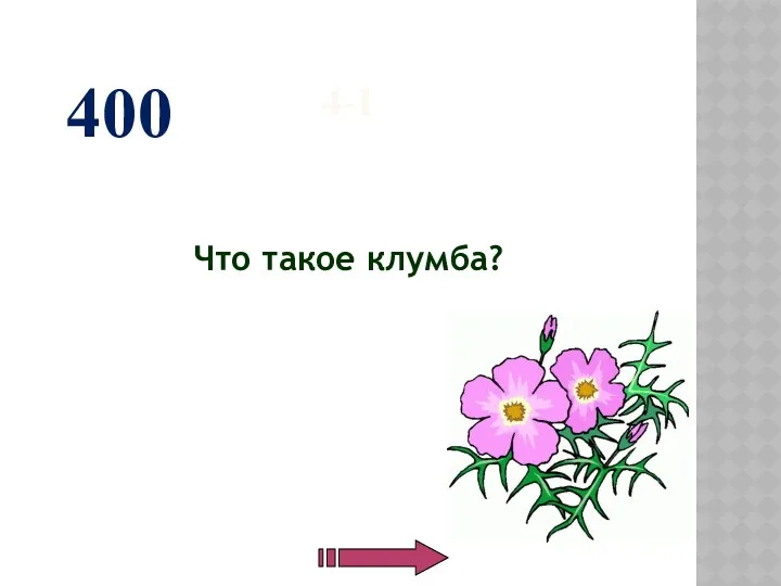 4-1 Что такое клумба? 400