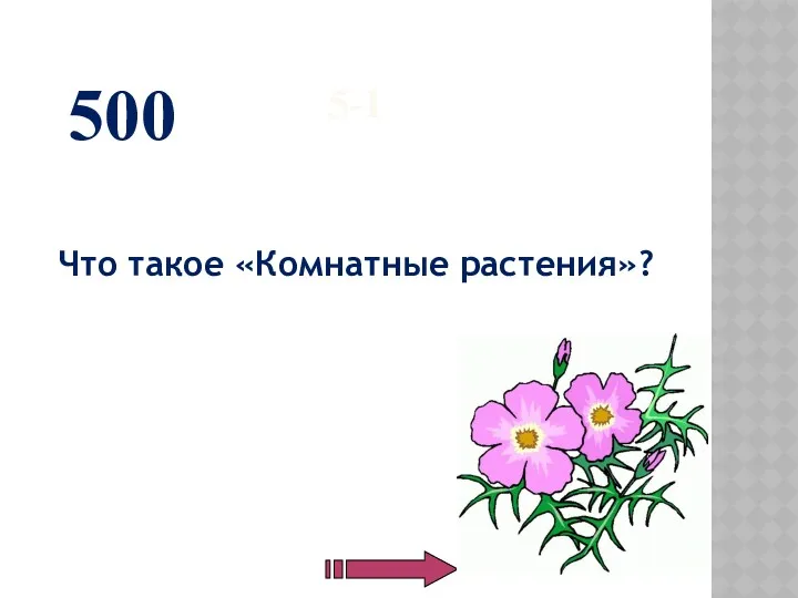 5-1 Что такое «Комнатные растения»? 500
