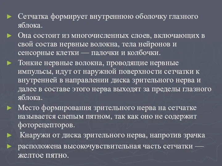 Сетчатка формирует внутреннюю оболочку глазного яблока. Она состоит из многочисленных