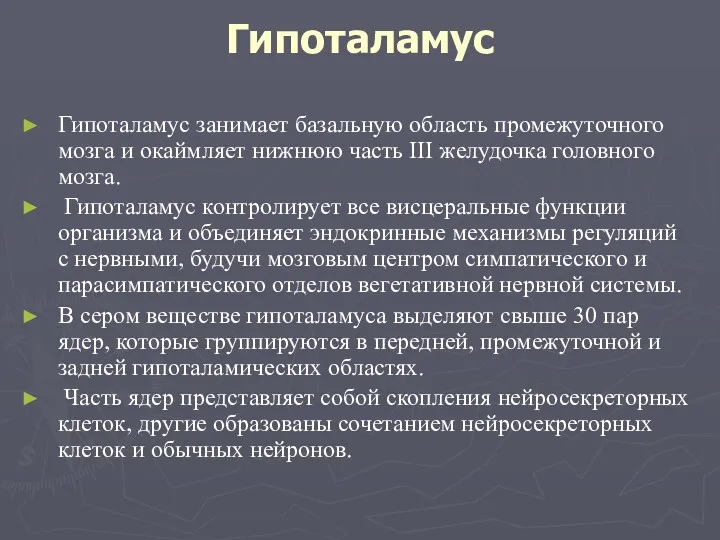 Гипоталамус Гипоталамус занимает базальную область промежуточного мозга и окаймляет нижнюю