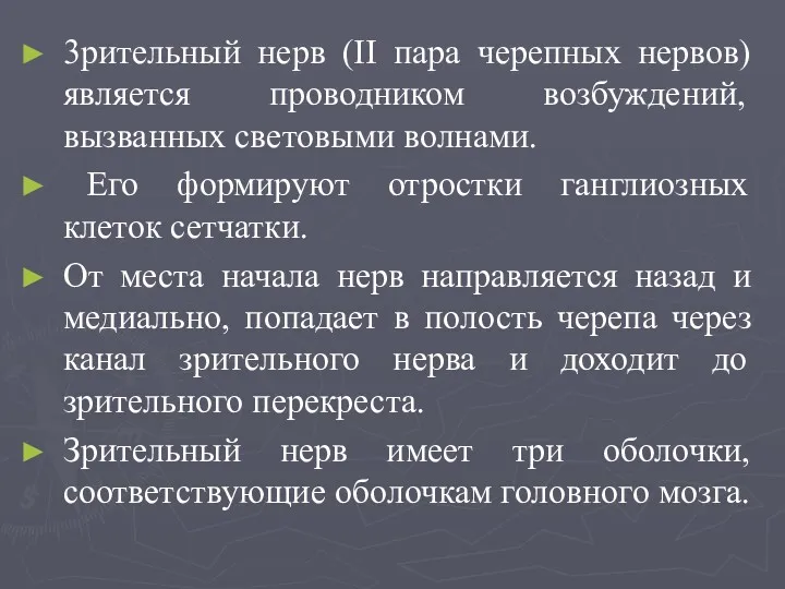 3рительный нерв (II пара черепных нервов) является проводником возбуждений, вызванных