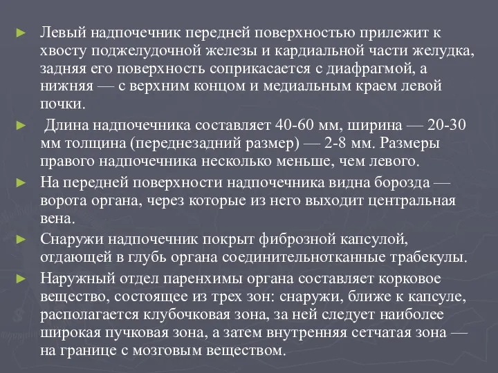 Левый надпочечник передней поверхностью прилежит к хвосту поджелудочной железы и