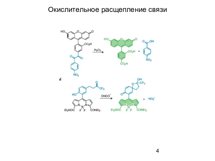 Окислительное расщепление связи