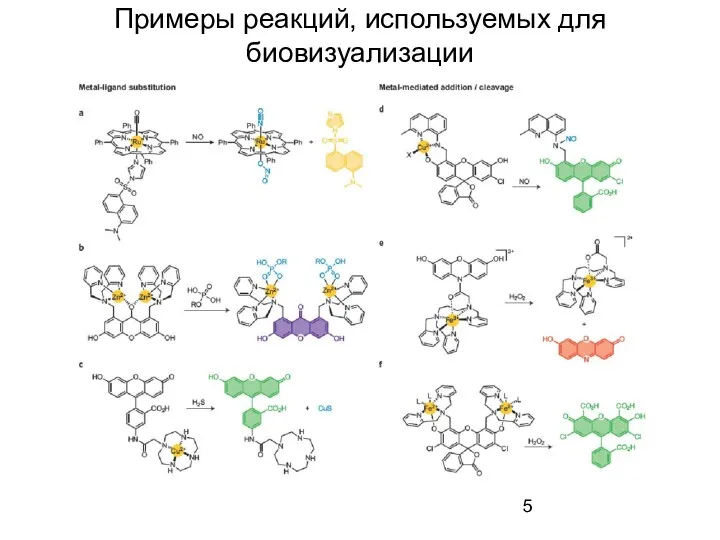 Примеры реакций, используемых для биовизуализации