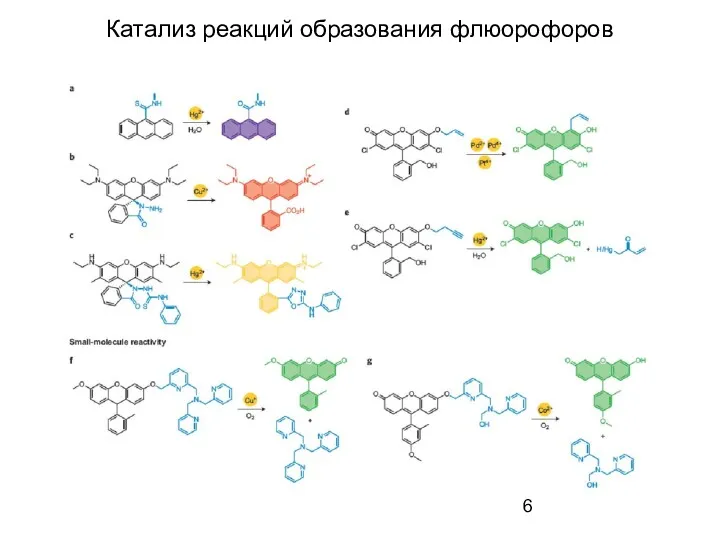 Катализ реакций образования флюорофоров