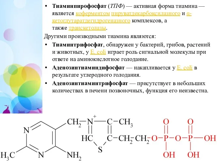 Тиаминпирофосфат (ТПФ) — активная форма тиамина — является коферментом пируватдекарбоксилазного