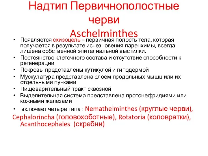 Надтип Первичнополостные черви Aschelminthes Появляется схизоцель – первичная полость тела,