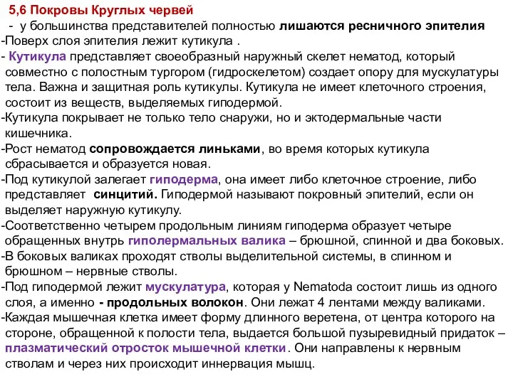 5,6 Покровы Круглых червей - у большинства представителей полностью лишаются