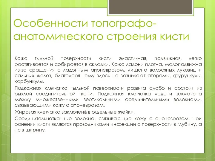 Особенности топографо-анатомического строения кисти Кожа тыльной поверхности кисти эластичная, подвижная,