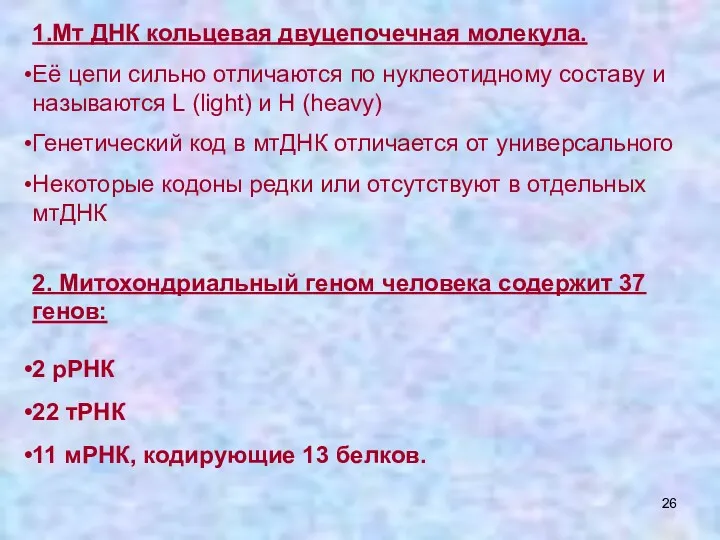 1.Мт ДНК кольцевая двуцепочечная молекула. Её цепи сильно отличаются по