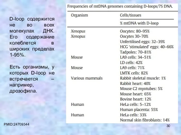 PMID:24709344 D-loop содержится не во всех молекулах ДНК. Его содержание