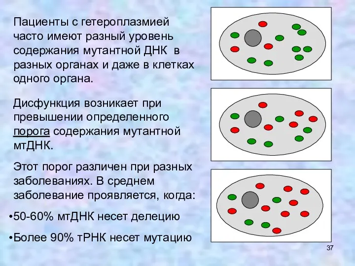 Пациенты с гетероплазмией часто имеют разный уровень содержания мутантной ДНК