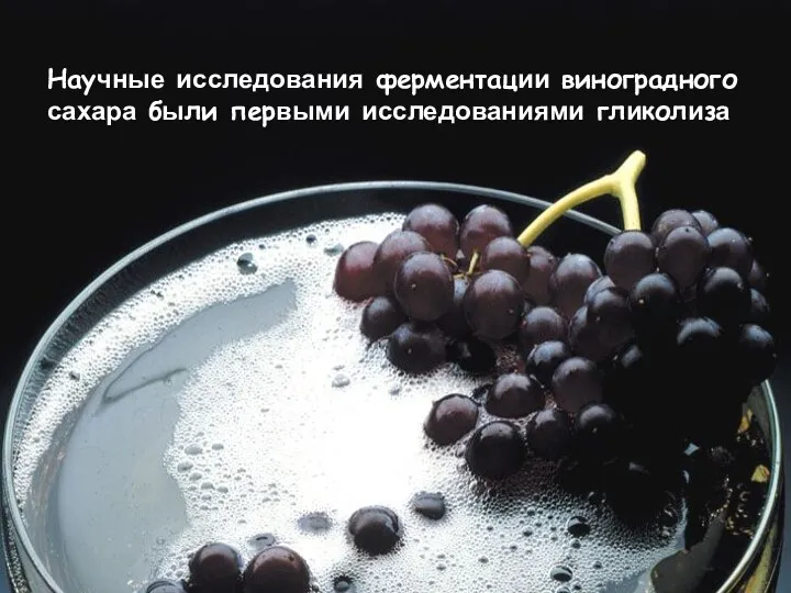 Научные исследования ферментации виноградного сахара были первыми исследованиями гликолиза