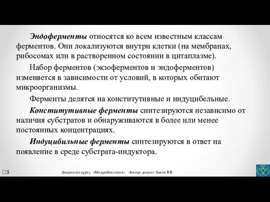 Эндоферменты относятся ко всем известным классам ферментов. Они локализуются внутри