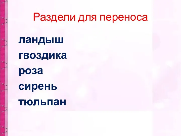 Раздели для переноса ландыш гвоздика роза сирень тюльпан